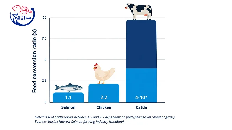 Aquatics compared to terrestrial livestock and poultry: The metabolic superiority of fish