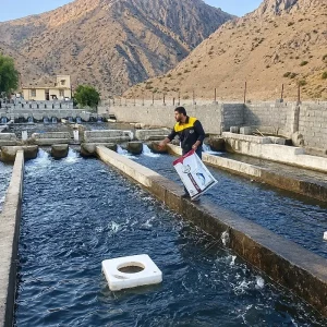 What is the Feed Conversion Ratio in Aquatic Animals and How Can It Be Improved?